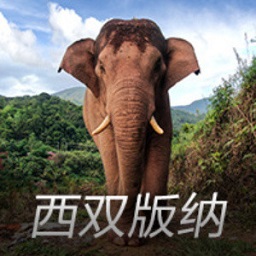 有望续约！广东26岁后卫场均6分，辅助胡明轩，杜锋找不到好替补